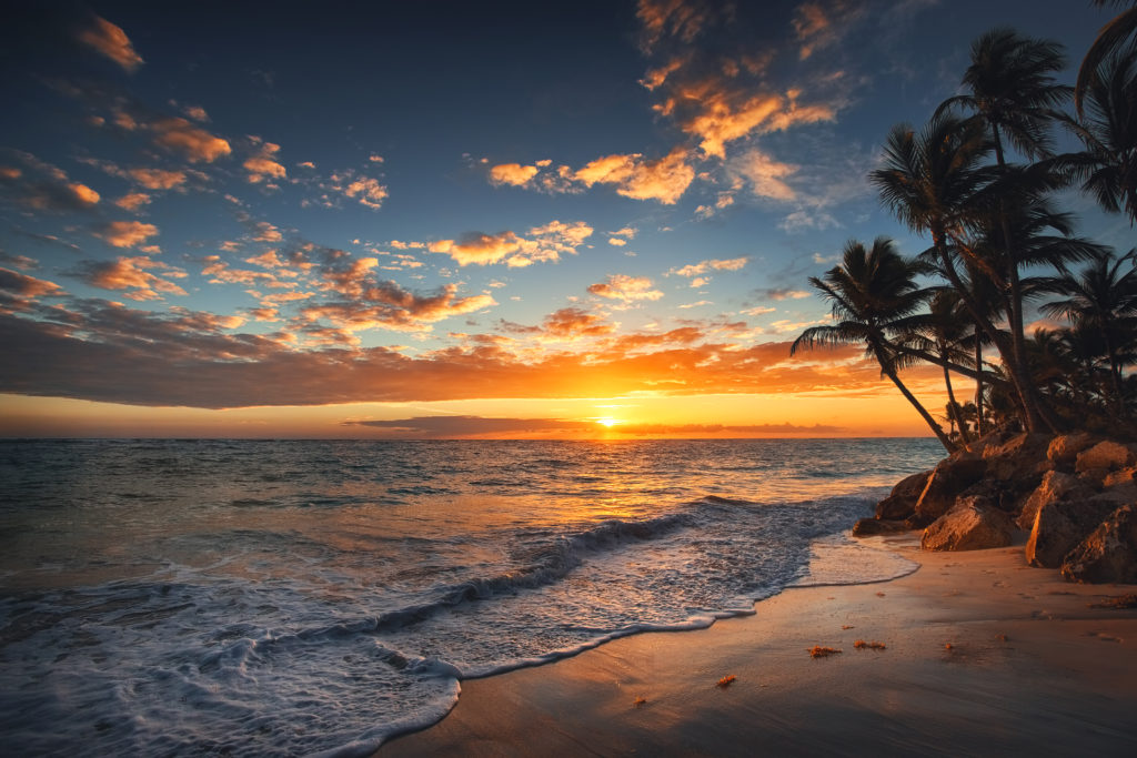 sunrise on the beach with palm trees